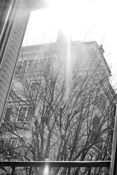 Confinement J18, Paris, France