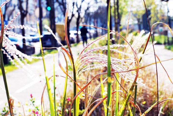 Projet Confinement, Jour&nbsp;21