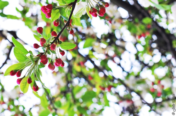 Projet Confinement, Jour&nbsp;30