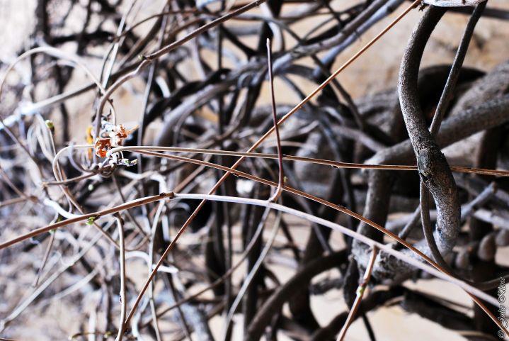 Confinement J39, Paris, France