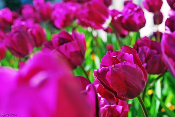 Projet Confinement, Jour&nbsp;26