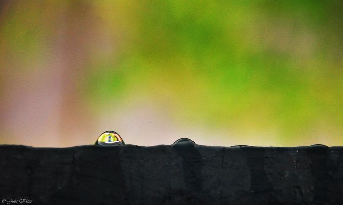 Confinement J27, Paris, France