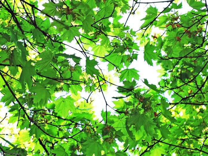 Projet Confinement, Jour&nbsp;32