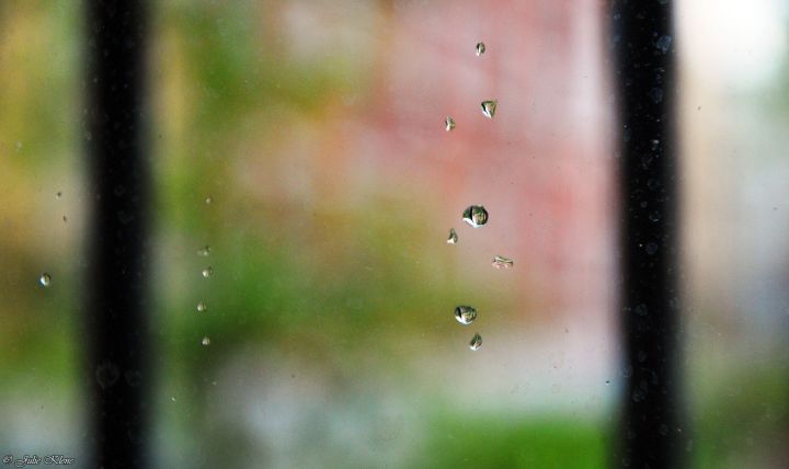 Projet Confinement, Jour&nbsp;29