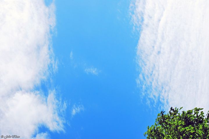 Projet Confinement, Jour&nbsp;41