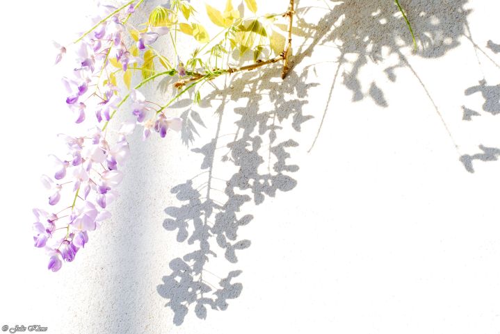 Projet Confinement, Jour&nbsp;45