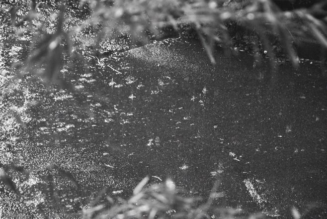 Confinement J53, Paris, France