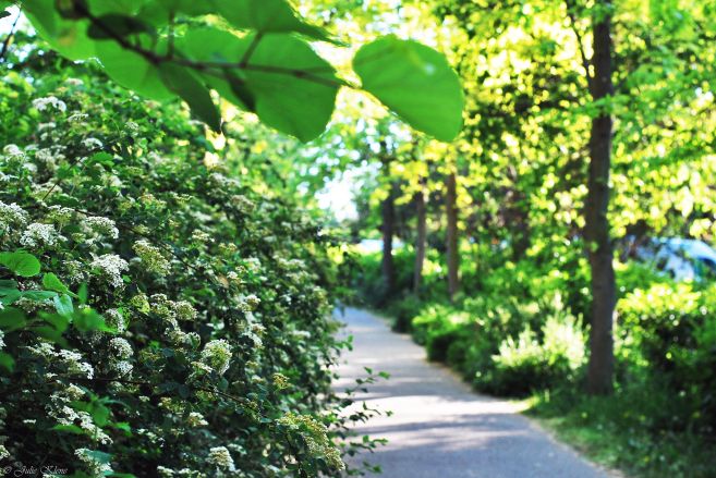 Confinement J57, Paris, France